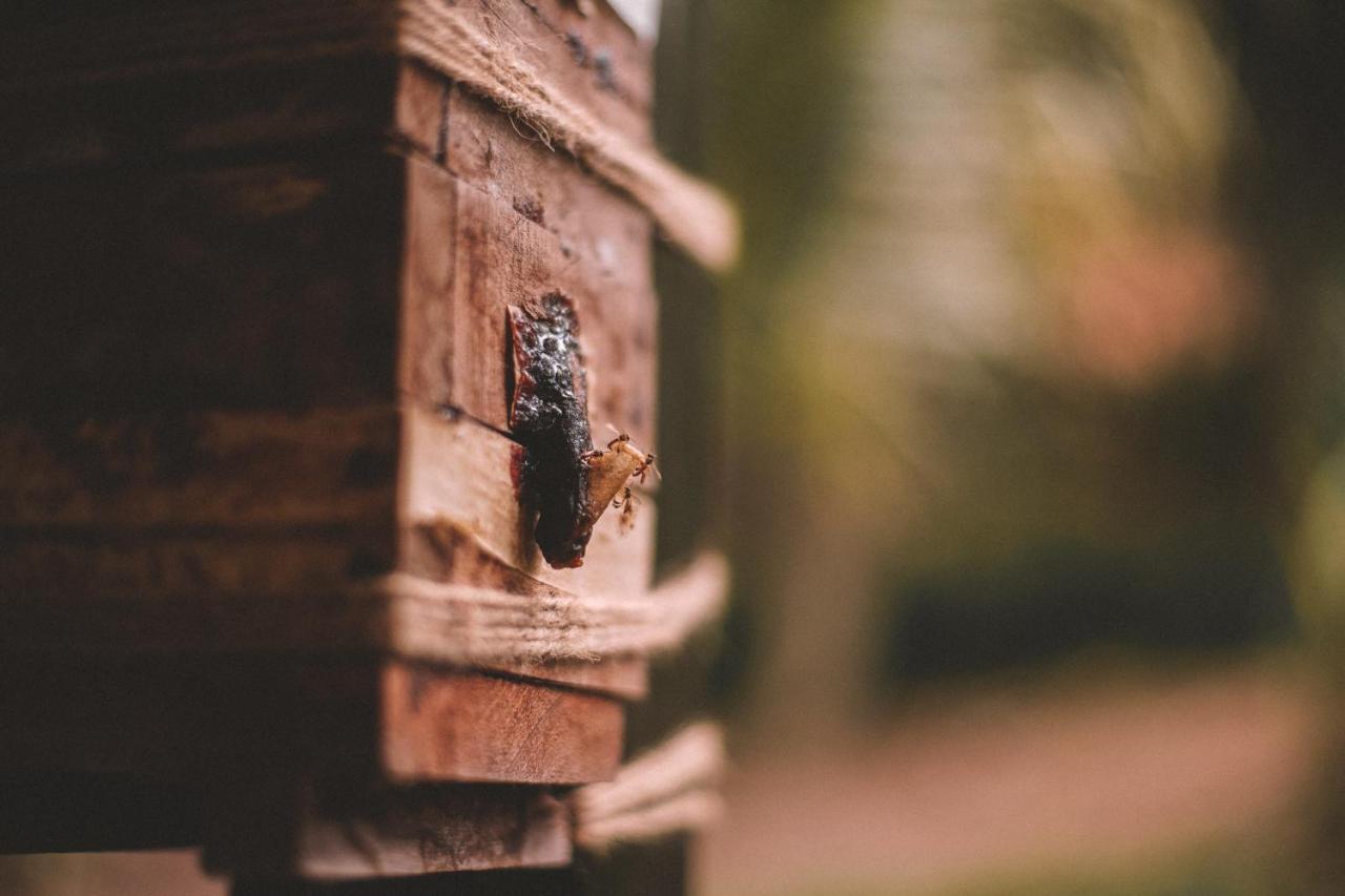 Kantu Garden Lodge Moyobamba Zewnętrze zdjęcie
